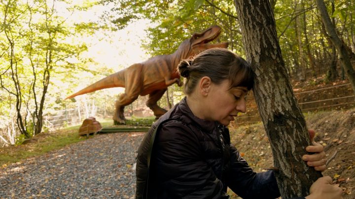 El mejor cine de 2025. Tops individuales. Revista Mutaciones - 16
