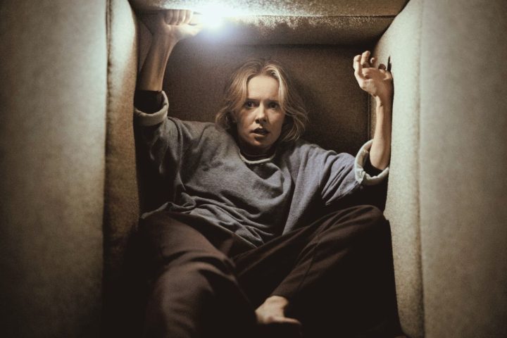 Insidious. Revista Mutaciones
