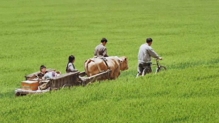 Vivir la tierra Revista Mutaciones Vivir la tierra Revista Mutaciones